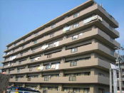 {θsφΫEVΚ{EΊ΄¬ MS 3LDK NO.15437 {θsφΫEVΚ{EΊ΄¬ MS 3LDK NO.15437