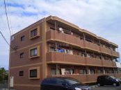 �{��s�����ԃ����E�哇�E�F�m MS 3DK NO.15734