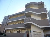 �{��s������̋{�E�����E���ˁE�i�y�� MS 1K NO.8235