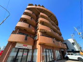 �{��s���S���{��w MS 1R NO.15556